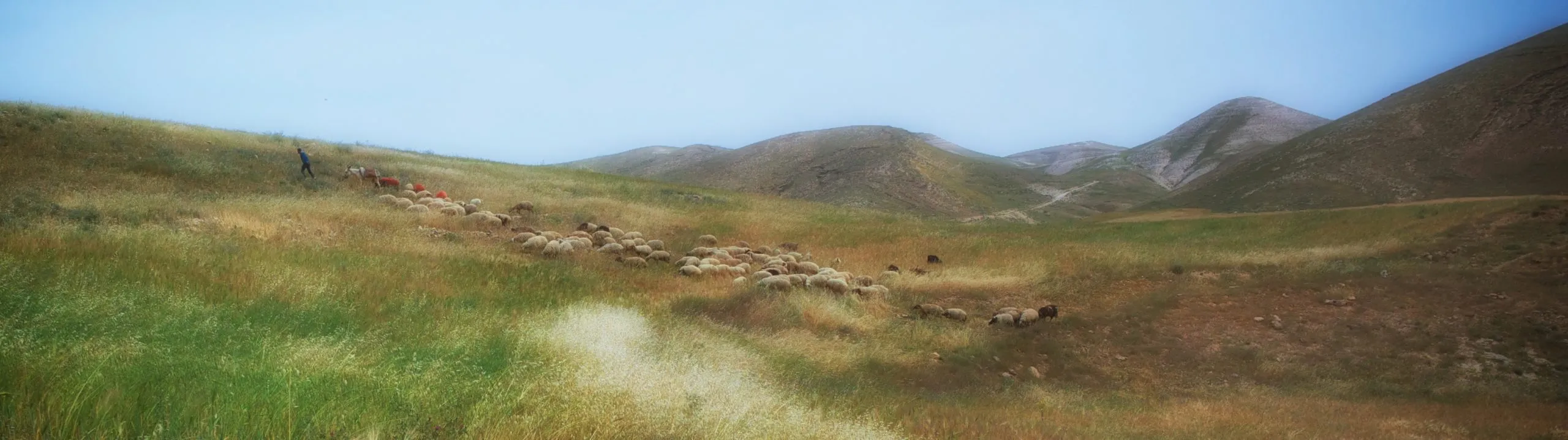 holy-hills-scaled.jpg